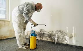 Best Mold Damage Restoration  in Kensington, MD